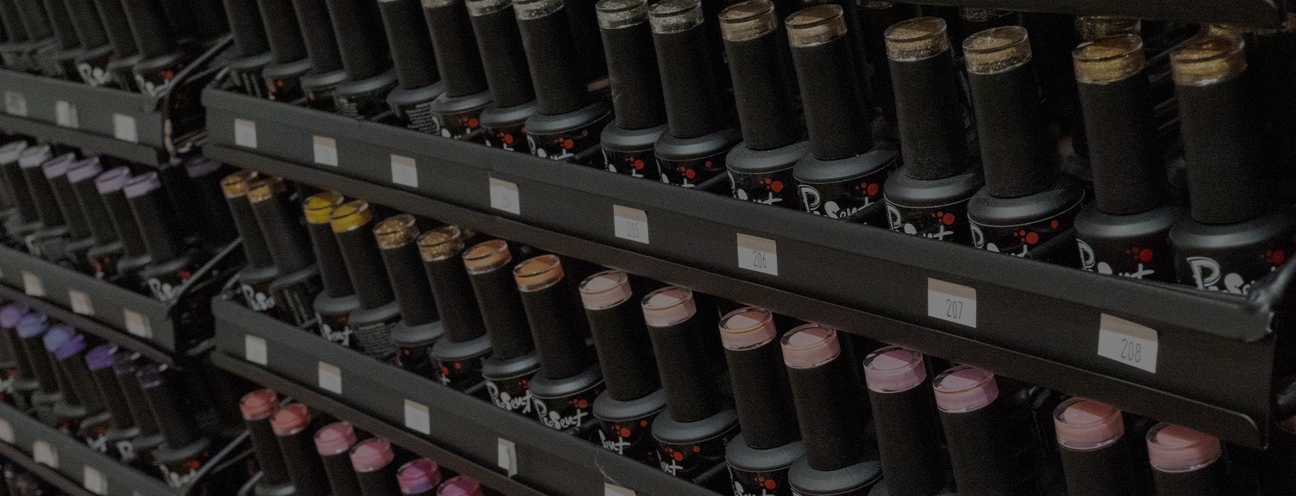 Elevate Your Professional Beauty Standards